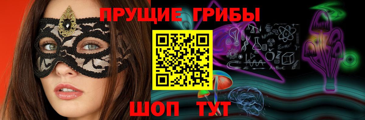 Димитровград  цены наркотик  Вход с VPN  Галлюциногенные грибы Psilocybe 